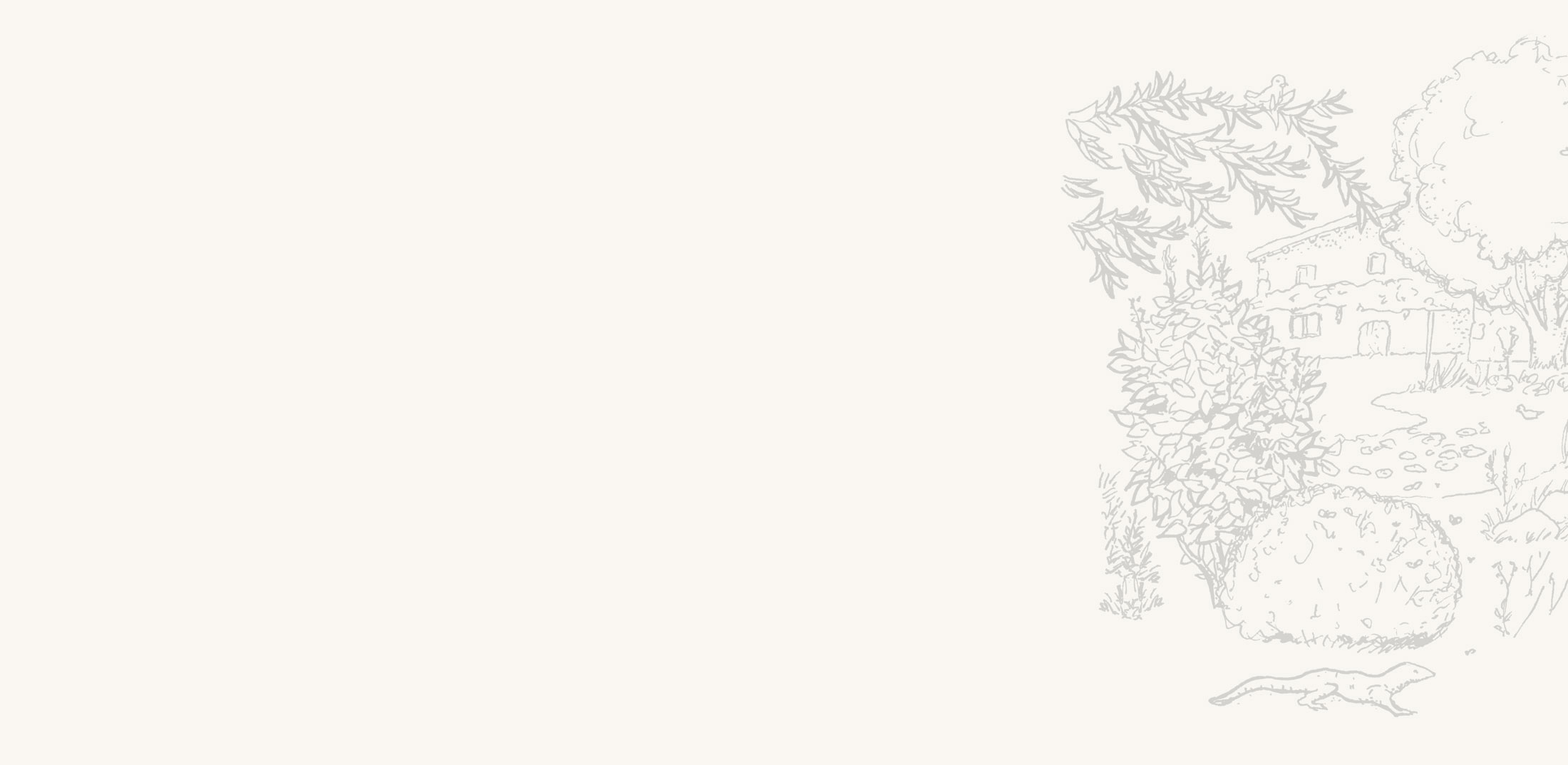 bg-landing-page-biocultura